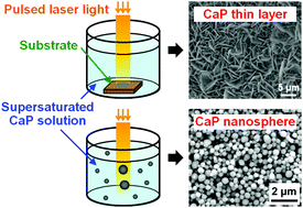 Graphical abstract: Physicochemical fabrication of calcium phosphate-based thin layers and nanospheres using laser processing in solutions