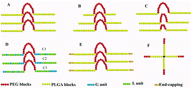 Graphical abstract: Modified PLGA–PEG–PLGA thermosensitive hydrogels with suitable thermosensitivity and properties for use in a drug delivery system