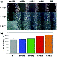 Graphical abstract: Minimum hyaluronic acid (HA) modified magnetic nanocrystals with less facilitated cancer migration and drug resistance for targeting CD44 abundant cancer cells by MR imaging