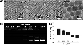 Graphical abstract: Upconversion nanoparticles loaded with eIF4E siRNA and platinum(iv) prodrug to sensitize platinum based chemotherapy for laryngeal cancer and bioimaging