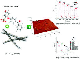 Graphical abstract: Sulfonated poly(ether ether ketone) [SPEEK] nanocomposites based on hybrid nanocarbons for the detection and discrimination of some lung cancer VOC biomarkers