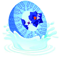 Graphical abstract: Biocompatible supramolecular dendrimers bearing a gadolinium-substituted polyanionic core for MRI contrast agents