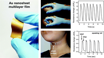 Graphical abstract: Highly sensitive, tunable, and durable gold nanosheet strain sensors for human motion detection