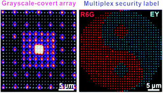 Graphical abstract: Plasmonic nanopillar arrays encoded with multiplex molecular information for anti-counterfeiting applications
