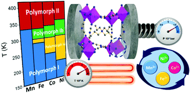 Graphical abstract: Multiple phase and dielectric transitions on a novel multi-sensitive [TPrA][M(dca)3] (M: Fe2+, Co2+ and Ni2+) hybrid inorganic–organic perovskite family