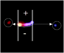 Graphical abstract: Laser action induced in a nanostructured polyaniline LED