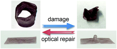 Graphical abstract: A composite material with room temperature shape processability and optical repair