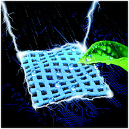 Graphical abstract: Integration of a patterned conductive carbon nanotube thin film with an insulating hydrophobic polymer carpet into robust 2D Janus hybrid flexible electronics