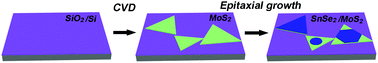 Graphical abstract: Epitaxial growth of two-dimensional SnSe2/MoS2 misfit heterostructures