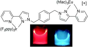 Graphical abstract: Converting an intensity-based sensor to a ratiometric sensor: luminescence colour switching of an Ir/Eu dyad upon binding of a V-series chemical warfare agent simulant
