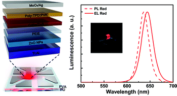 Graphical abstract: Highly flexible inverted-quantum-dot light-emitting diodes on elastic polyurethane substrates