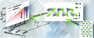 Graphical abstract: Widely tunable and anisotropic charge carrier mobility in monolayer tin(ii) selenide using biaxial strain: a first-principles study