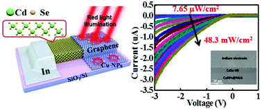 Graphical abstract: A sensitive red light nano-photodetector propelled by plasmonic copper nanoparticles