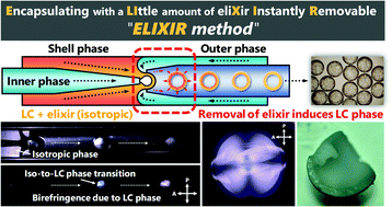 Graphical abstract: Room-temperature fabrication of mono-dispersed liquid crystalline shells with high viscosity and high melting points