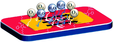 Graphical abstract: Trends in molecular design strategies for ambient stable n-channel organic field effect transistors