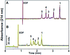 Graphical abstract: Recent advances in protein analysis by capillary and microchip electrophoresis