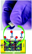 Graphical abstract: A multi-walled carbon nanotube–zinc oxide nanofiber based flexible chemiresistive biosensor for malaria biomarker detection