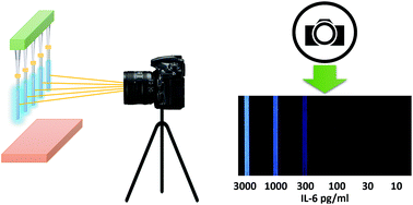 Graphical abstract: Glass capillary based microfluidic ELISA for rapid diagnostics