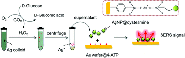 Graphical abstract: Facile detection of glucose in human serum employing silver-ion-guided surface-enhanced Raman spectroscopy signal amplification
