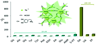 Graphical abstract: A highly selective and sensitive fluorescent nanosensor for dopamine based on formate bridged Tb(iii) complex and silver nanoparticles