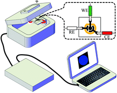 Graphical abstract: An electrochemiluminescence cloth-based biosensor with smartphone-based imaging for detection of lactate in saliva