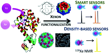 Graphical abstract: 129Xe NMR-based sensors: biological applications and recent methods