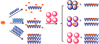 Graphical abstract: A luminescent and colorimetric probe based on the functionalization of gold nanoparticles by ruthenium(ii) complexes for heparin detection