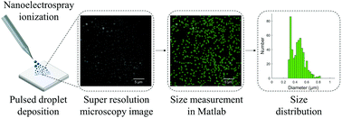 Graphical abstract: Sizing sub-diffraction limit electrosprayed droplets by structured illumination microscopy