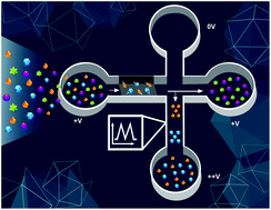 Graphical abstract: Electrokinetically operated microfluidic devices for integrated immunoaffinity monolith extraction and electrophoretic separation of preterm birth biomarkers
