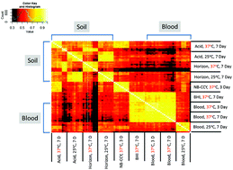 Graphical abstract: Proteomic signatures differentiating Bacillus anthracis Sterne sporulation on soil relative to laboratory media