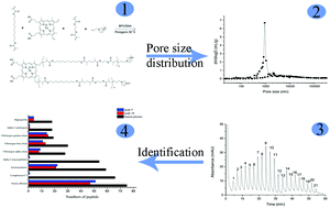 Graphical abstract: Separation of proteins from complex bio-matrix samples using a double-functionalized polymer monolithic column