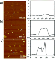 Graphical abstract: A graphene oxide nanosensor enables the co-delivery of aptamer and peptide probes for fluorescence imaging of a cascade reaction in apoptotic signaling