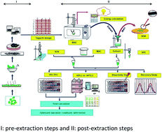 Graphical abstract: Strategizing method optimization of microwave-assisted extraction of plant phenolics by developing standard working principles for universal robust optimization