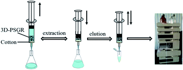 Graphical abstract: A convenient approach for the determination of multiple trace BPs using an in-syringe-assisted solid phase microextraction system packed with elastic spongy graphene rods coupled with HPLC