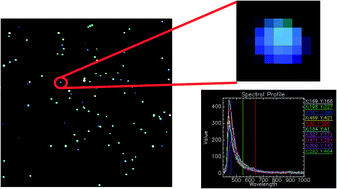 Graphical abstract: Evaluation of enhanced darkfield microscopy and hyperspectral analysis to analyse the fate of silver nanoparticles in wastewaters