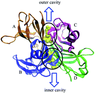 Graphical abstract: Probing the binding mechanism of polybrominated diphenyl ethers with transthyretin by multi-spectroscopic and molecular dynamics simulations