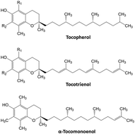 Graphical abstract: Fast gradient normal-phase high pressure liquid chromatography for rapid baseline separation of vitamin E forms in palm-derived tocotrienol rich fractions (TRFs)