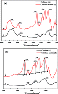 Graphical abstract: Quantitative analysis of cellulose acetate with a high degree of substitution by FTIR and its application