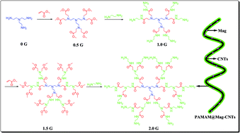 Graphical abstract: Simultaneous determination of fifteen toxic alkaloids in meat dishes and vegetable dishes using double layer pipette tip magnetic dispersive solid phase extraction followed by UFLC-MS/MS