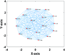 Graphical abstract: Integrating network analysis with chromatography: introducing a novel chemometry-chromatography based analytical procedure to classify the bacterial cell wall collection