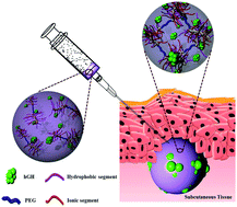 Graphical abstract: Bioresorbable polypeptide-based comb-polymers efficiently improves the stability and pharmacokinetics of proteins in vivo