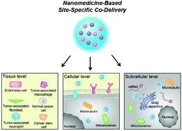 Graphical abstract: Recent progress in nanomedicine-based combination cancer therapy using a site-specific co-delivery strategy