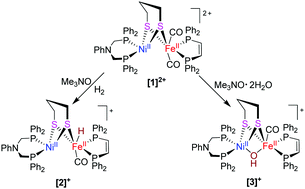 Graphical abstract: Dithiolato-bridged nickel–iron complexes as models for the active site of [NiFe]-hydrogenases