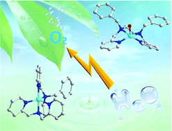 Graphical abstract: Electrocatalytic water oxidation by copper(ii) complexes containing a tetra- or pentadentate amine-pyridine ligand
