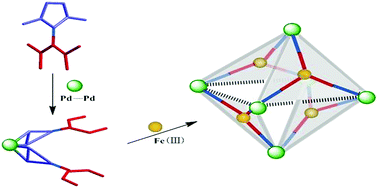 Graphical abstract: Programmable self-assembly of water-soluble organo-heterometallic cages [M12M′4L12] using 3-(3,5-dimethyl-1H-pyrazol-4-yl)pentane-2,4-dione (H2L)