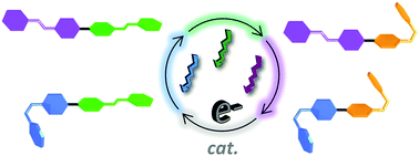 Graphical abstract: Orthogonal switching in four-state azobenzene mixed-dimers