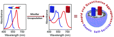 Graphical abstract: Encapsulation induced aggregation: a self-assembly strategy for weakly pi-stacking chromophores