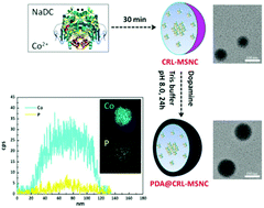 Graphical abstract: Encapsulation of enzymes in metal ion–surfactant nanocomposites for catalysis in highly polar solvents