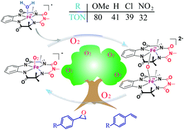 Graphical abstract: Reductive activation of O2 by a bioinspired Fe complex for catalytic epoxidation reactions