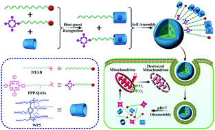 Graphical abstract: A mitochondria-targeting supramolecular photosensitizer based on pillar[5]arene for photodynamic therapy